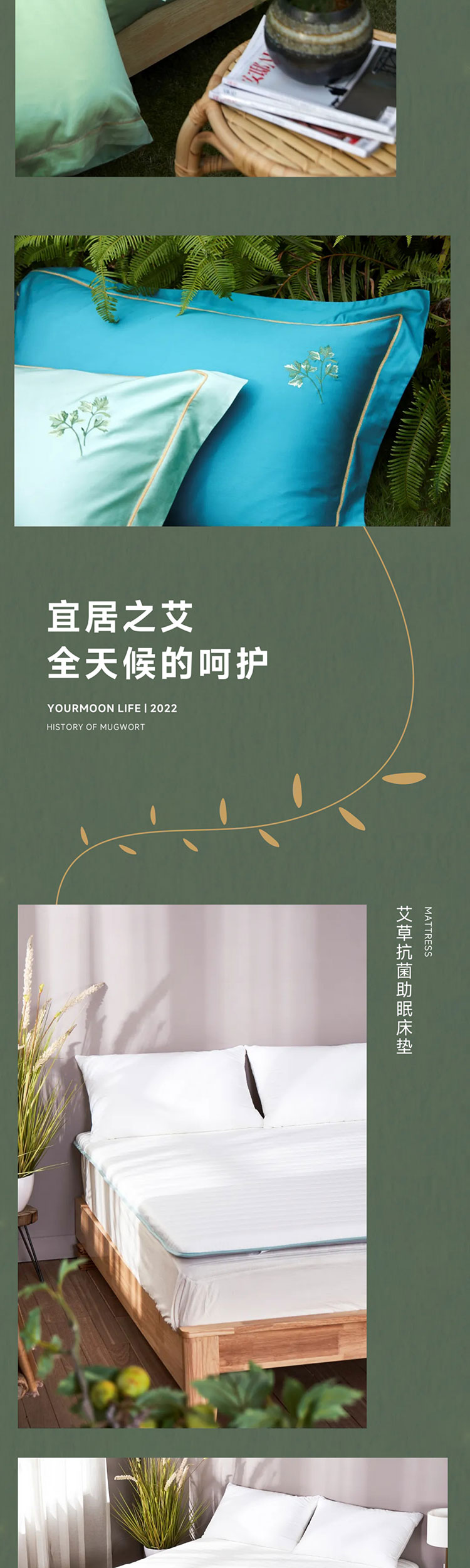 端午艾、艾草这么用有新发现