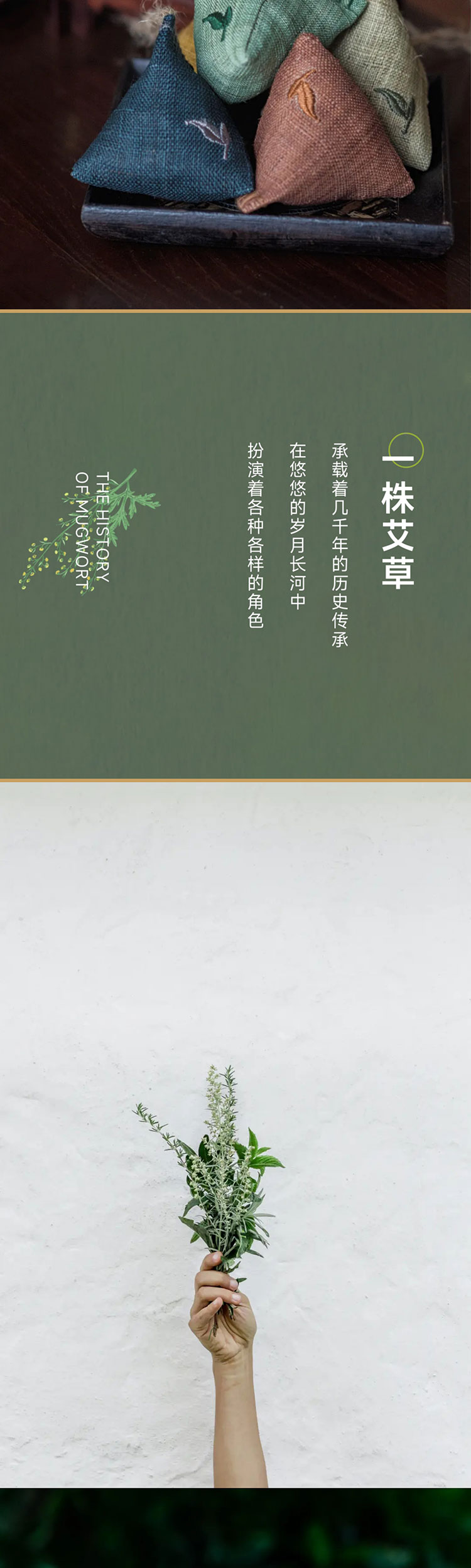 端午艾、艾草这么用有新发现