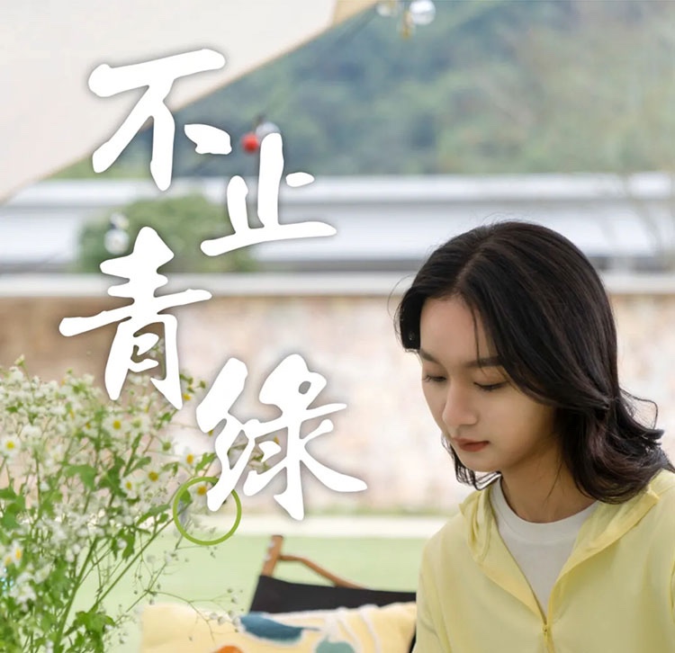 不止青绿，邂逅生活新色调