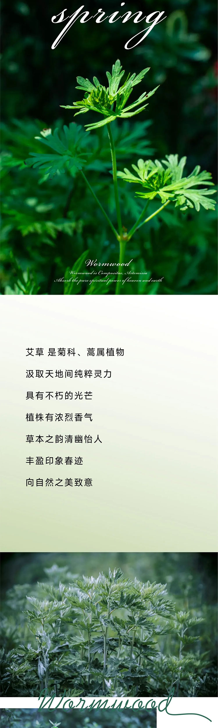 YOURMOON 冰球突破人生就是博2022春夏艾草系列发布