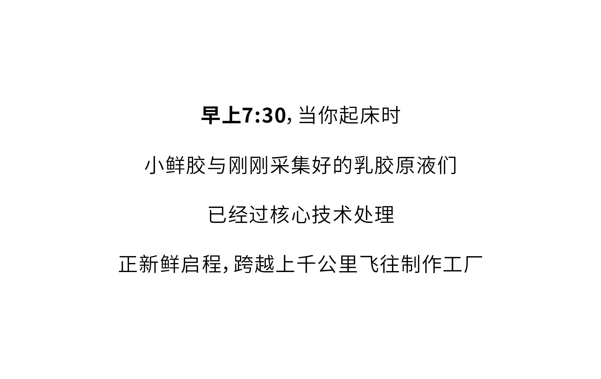 欢迎和小鲜胶一起，每天睡好觉！