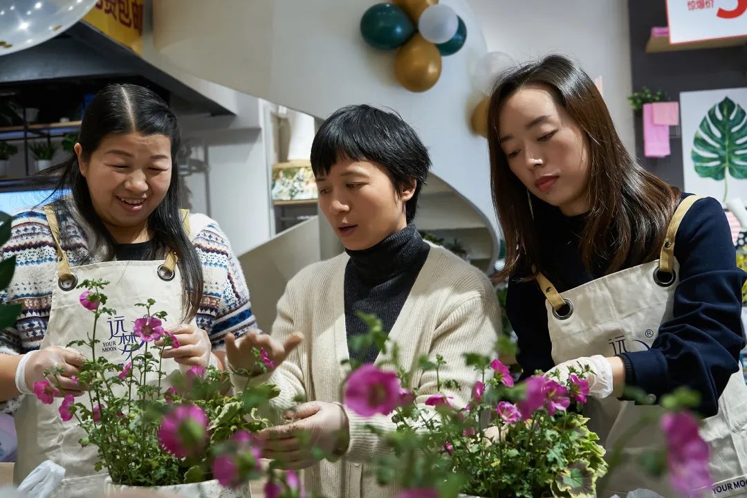 冰球突破人生就是博SVIP园艺沙龙 | 走入自然中 冰球突破人生就是博SVIP园艺沙龙 | 走入自然中