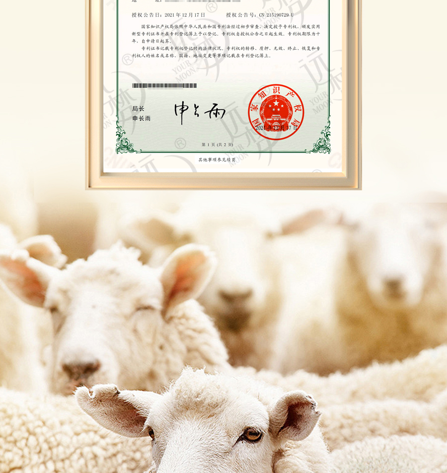 冰球突破人生就是博1995澳洲羊毛系列全新登场，温暖入秋冬